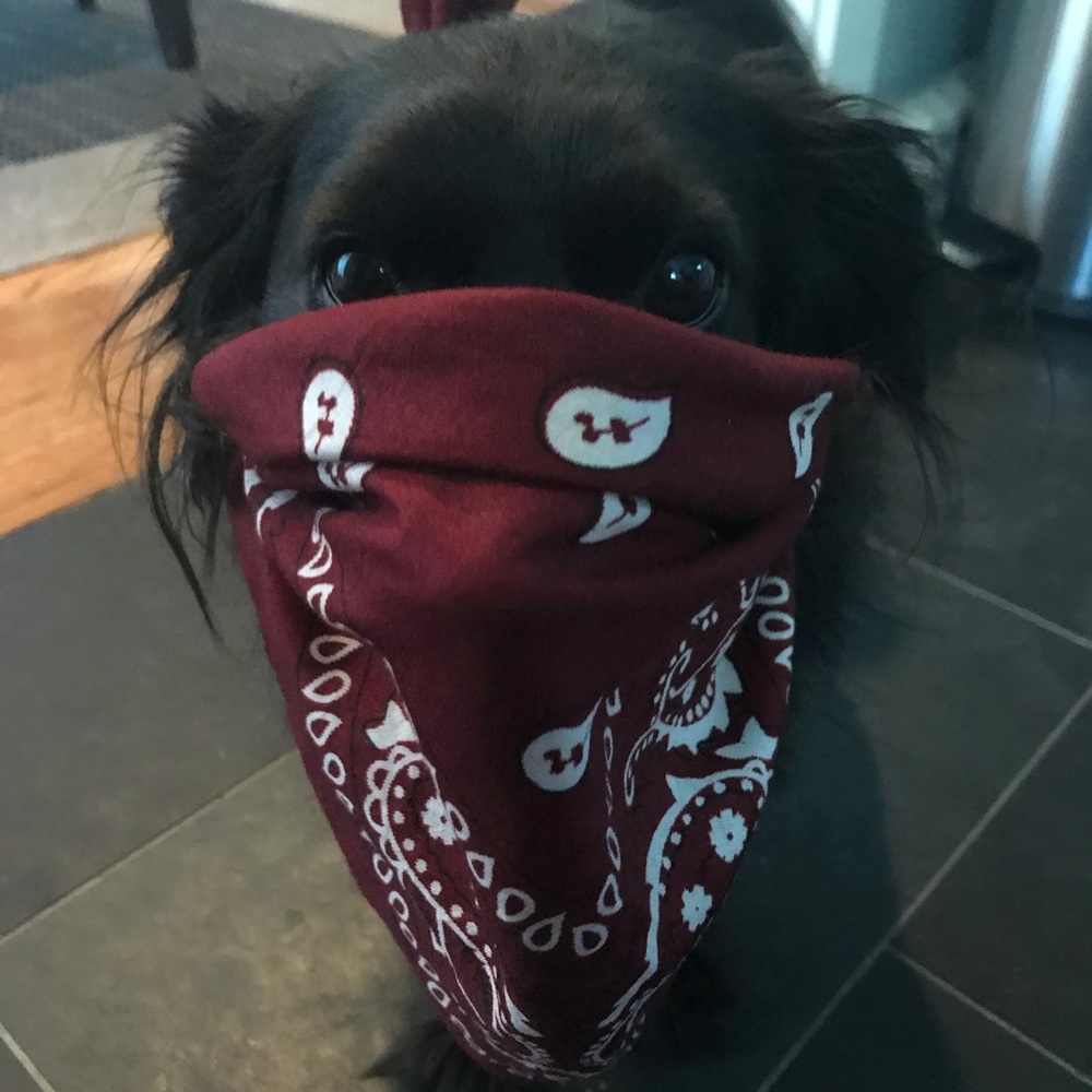 Meet your Posher, Natalia